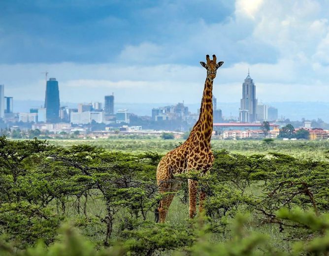Tourism & Wildlife